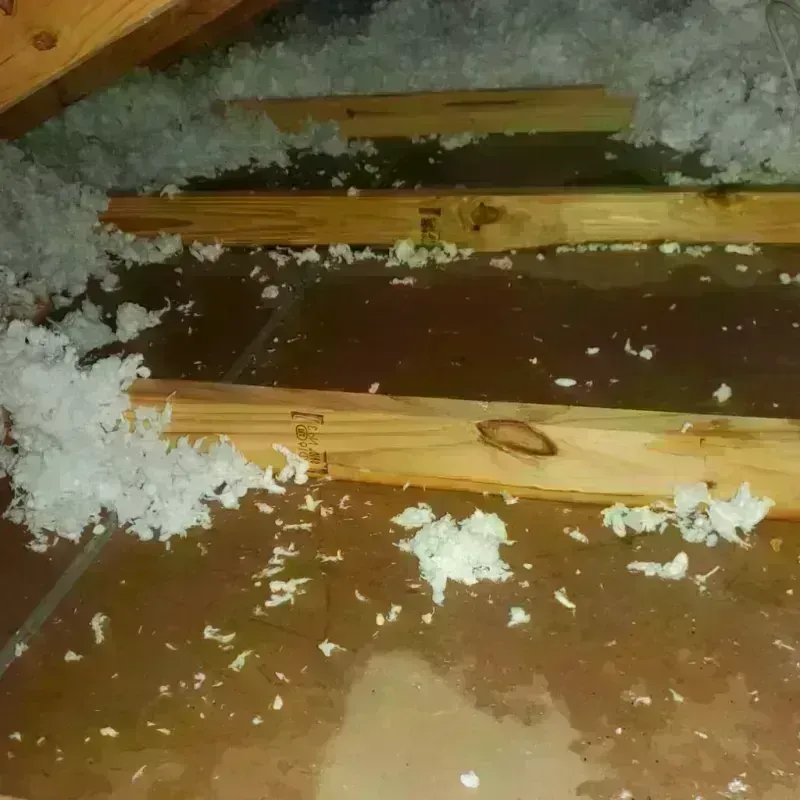 Attic Water Damage in Kerrville, TX